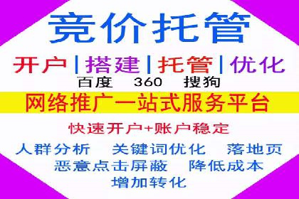 行业领先企业的SEM代理案例剖析
