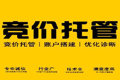 案例解析：SEM代运营机构助力企业业绩突破